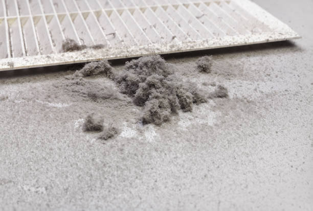 Best Residential Air Duct Cleaning  in Demorest, GA
